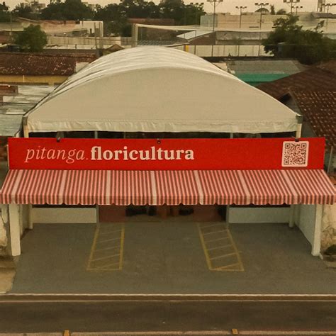 floricultura belém|Pitanga Floricultura .